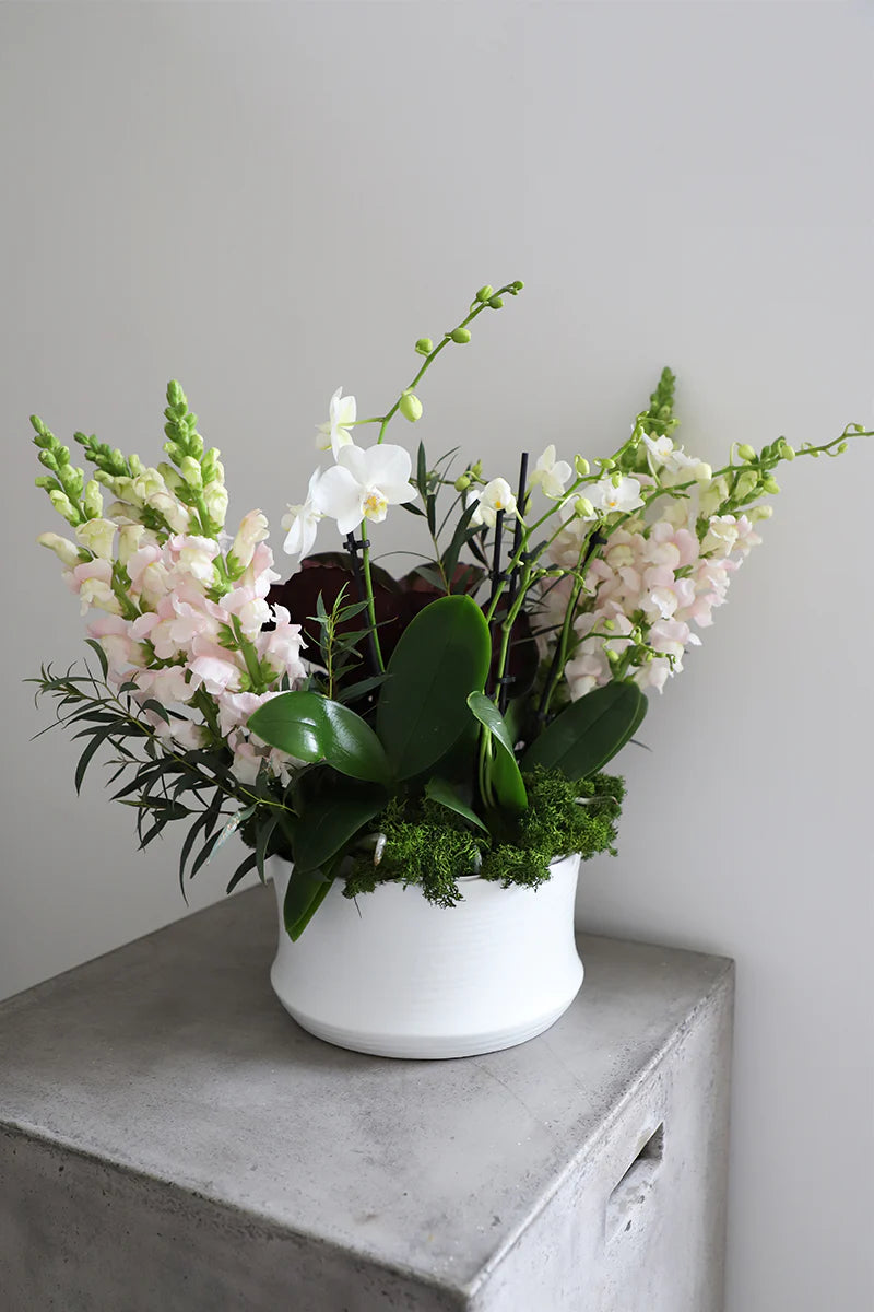 Pavona Ceramic Orchid Bowl