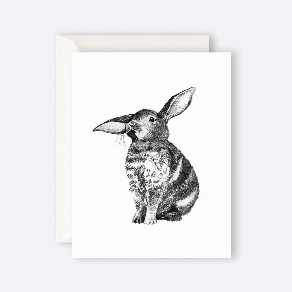 Greeting card - bunny