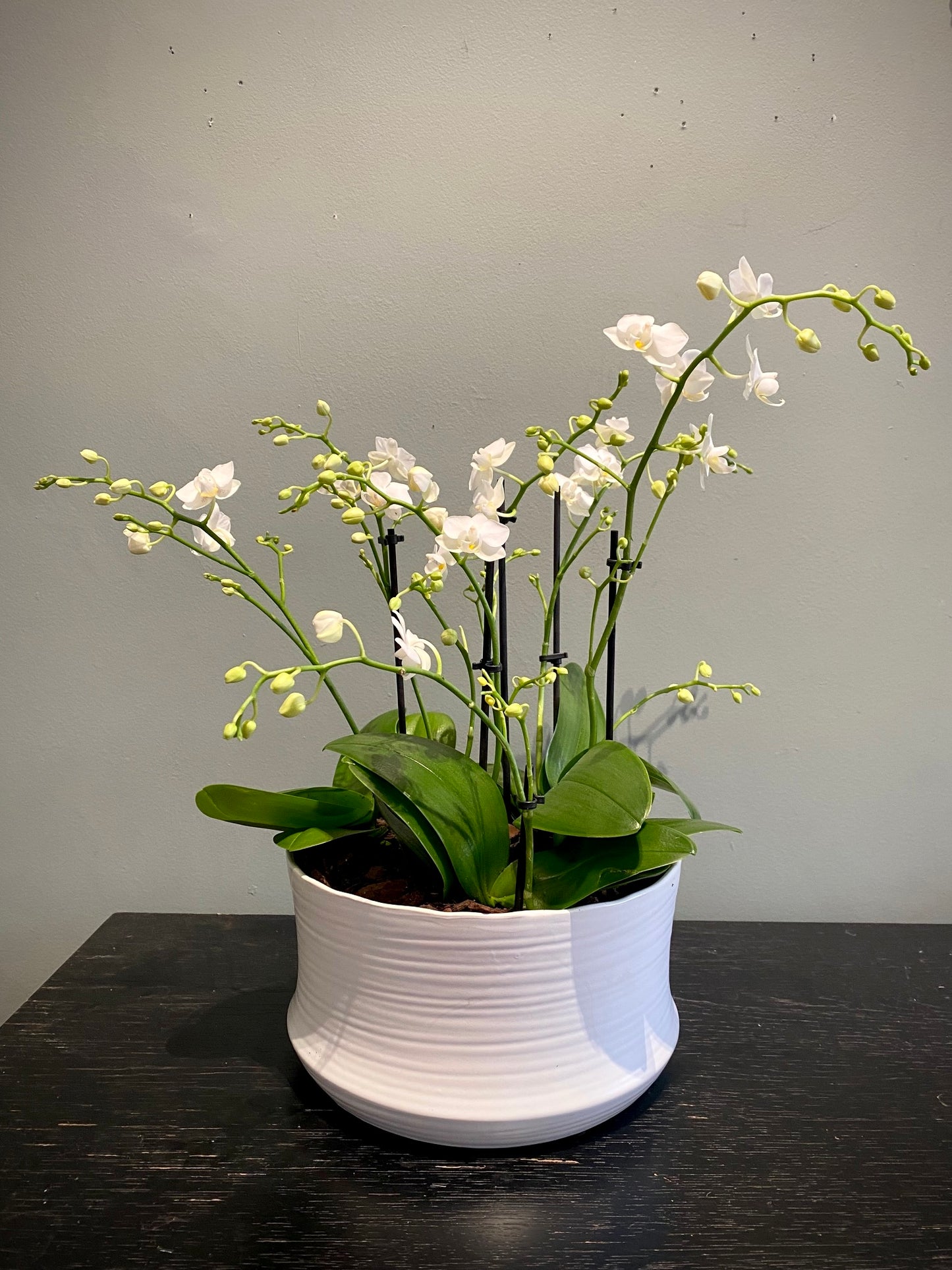 Pot de fleur