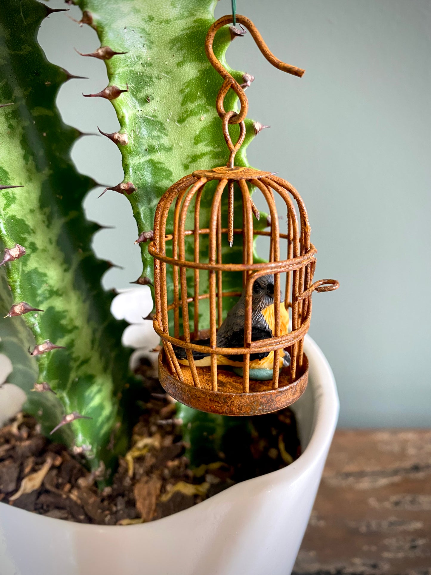 African Milk Tree w/ Birdcage