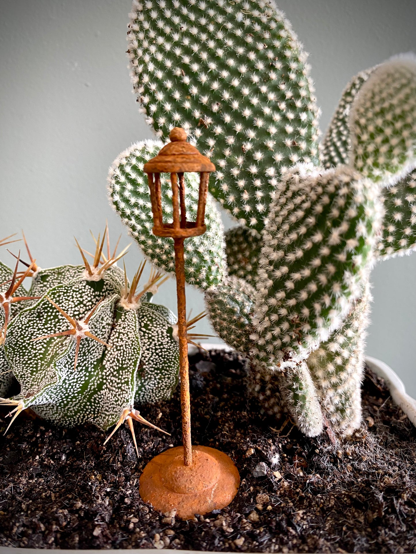 Cactus Set w/ Street Lamp