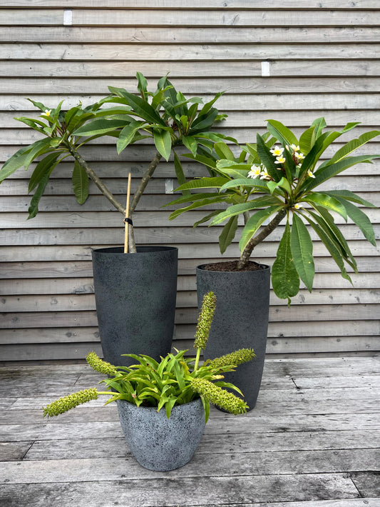 Concrete-look pot (large)