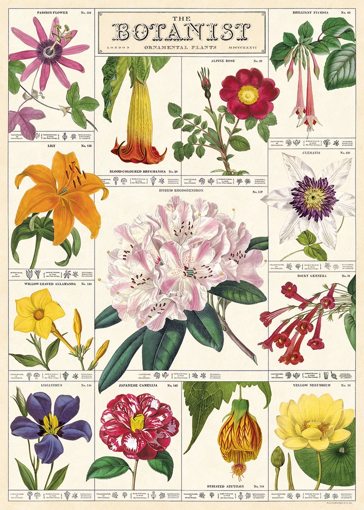 Cavallini Vintage Posters