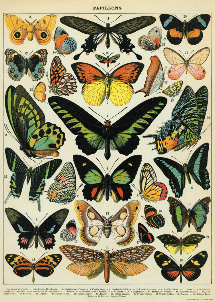 Cavallini Vintage Posters