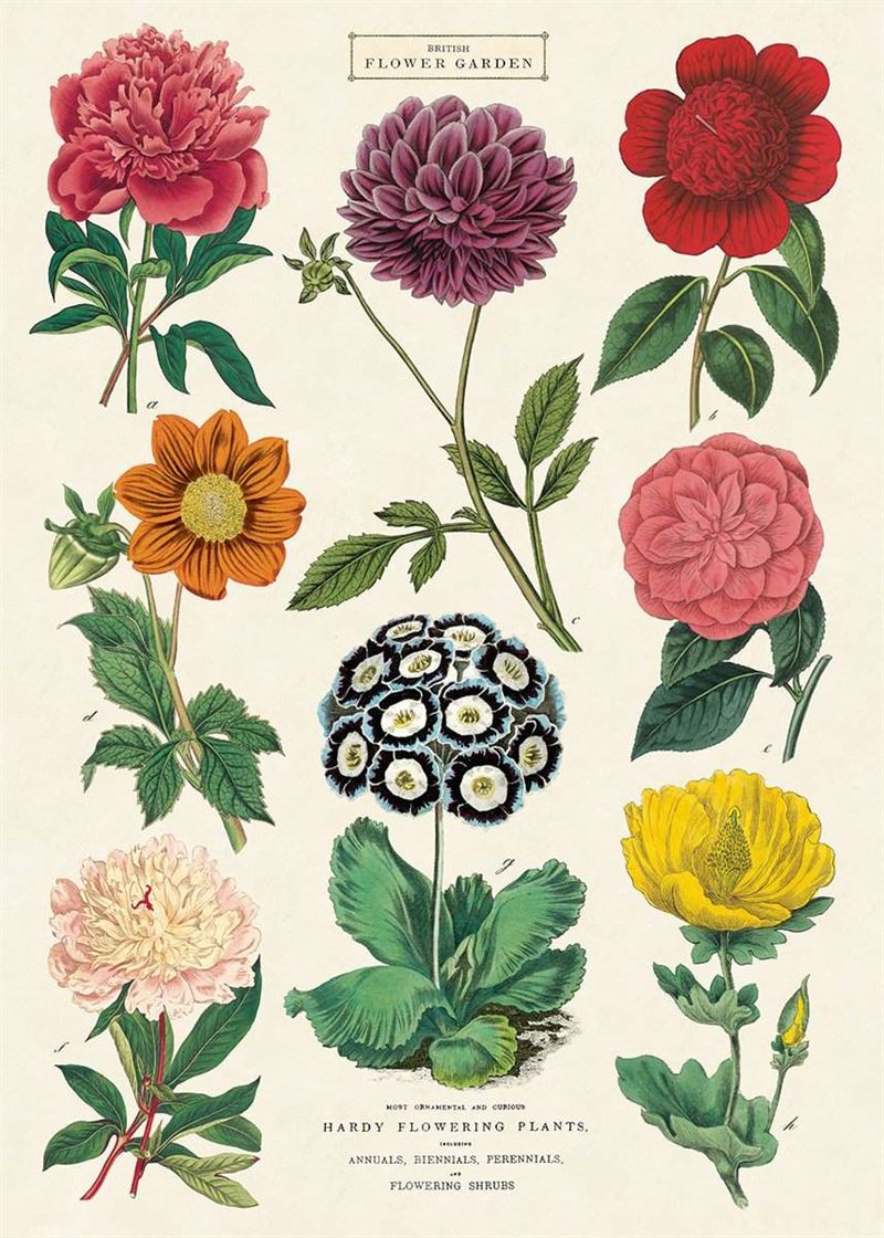 Cavallini Vintage Posters