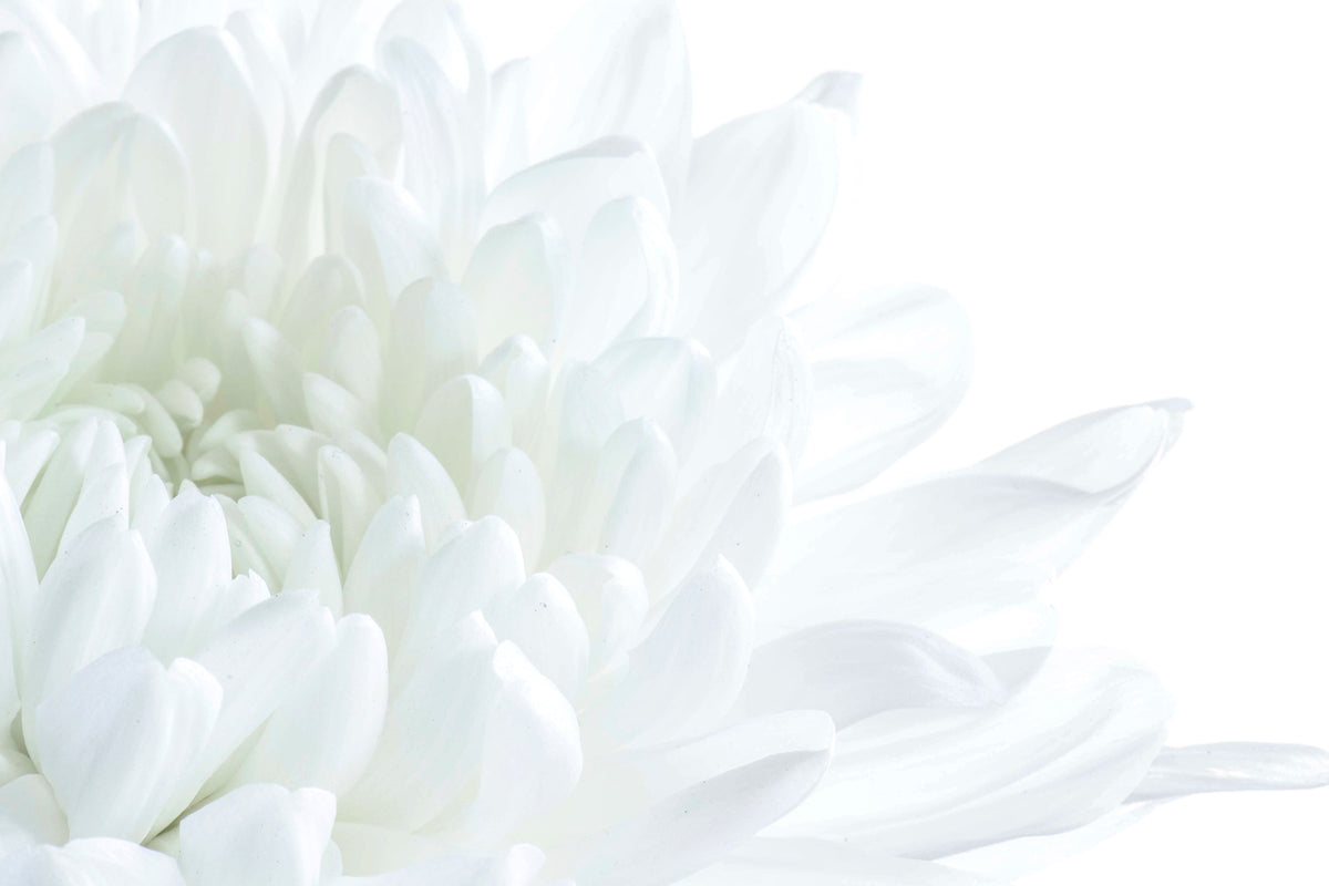 White Flower