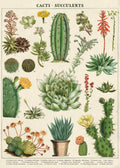 Cavallini Vintage Posters