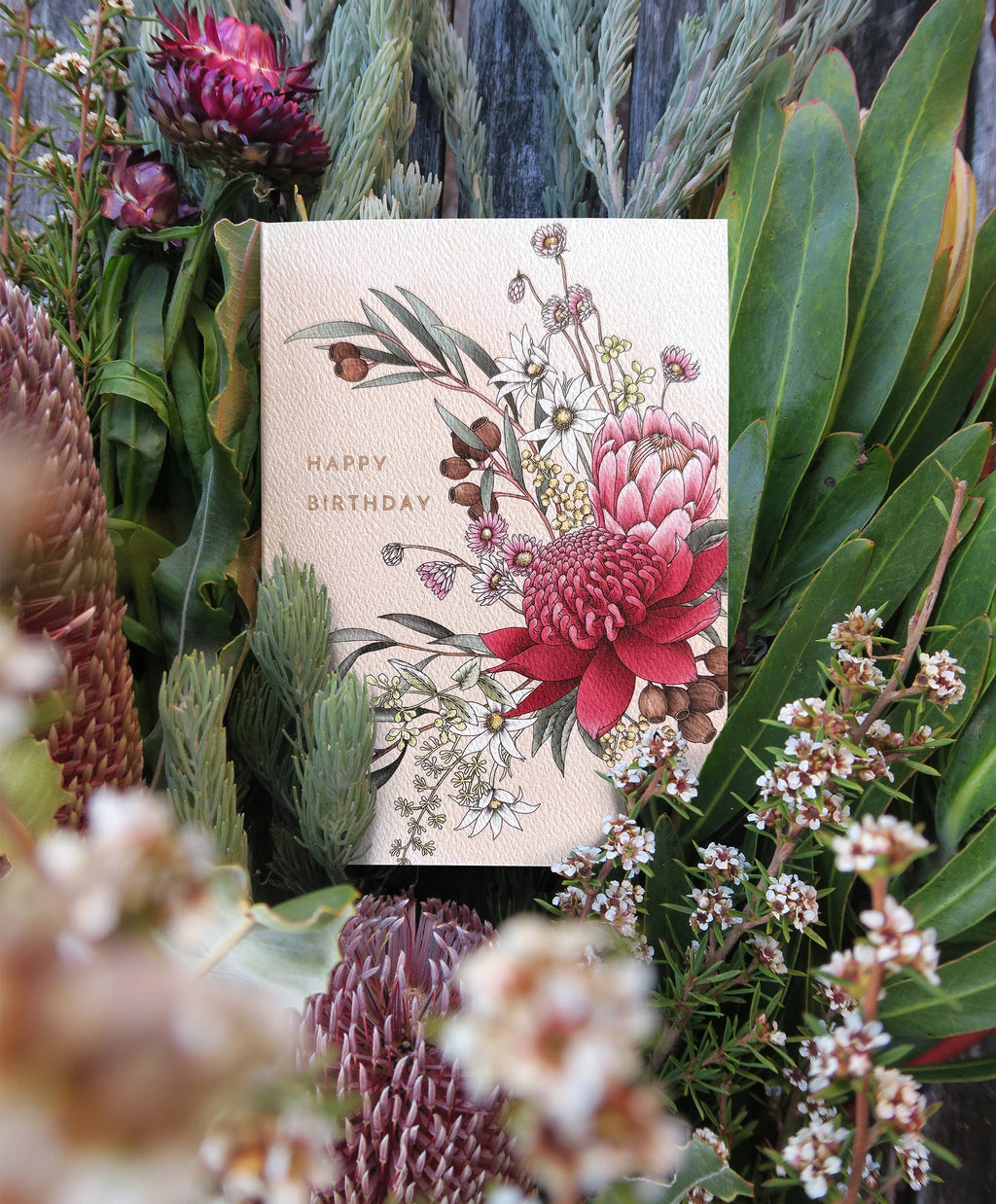 Waratah Birthday Card