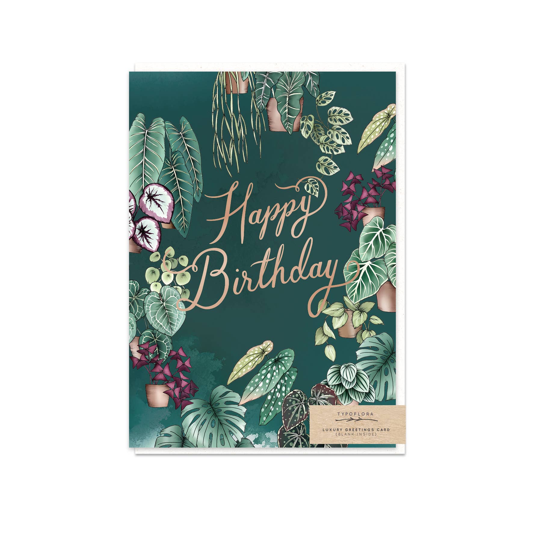 Houseplants Birthday Card