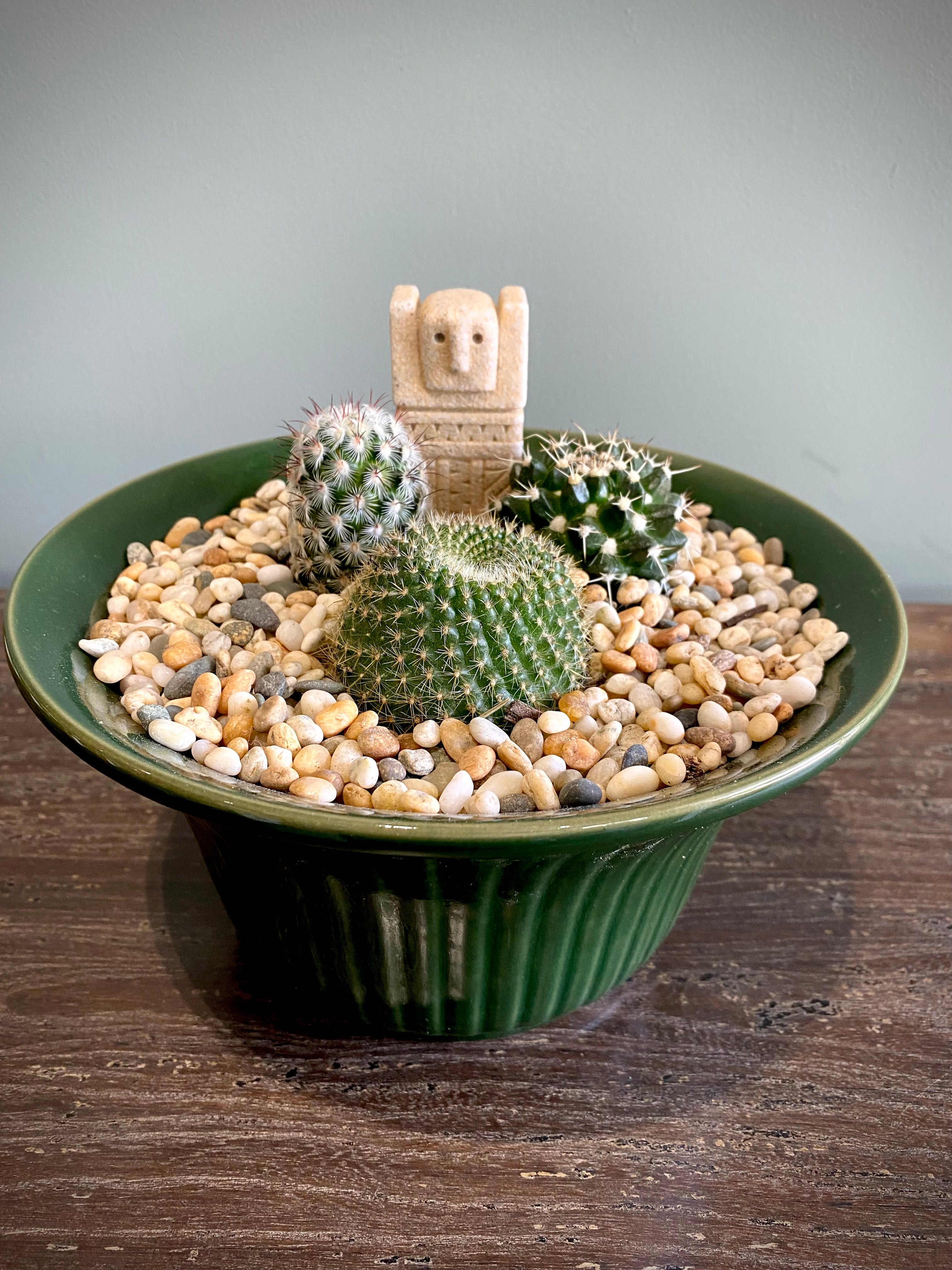 Cacti Plant Set
