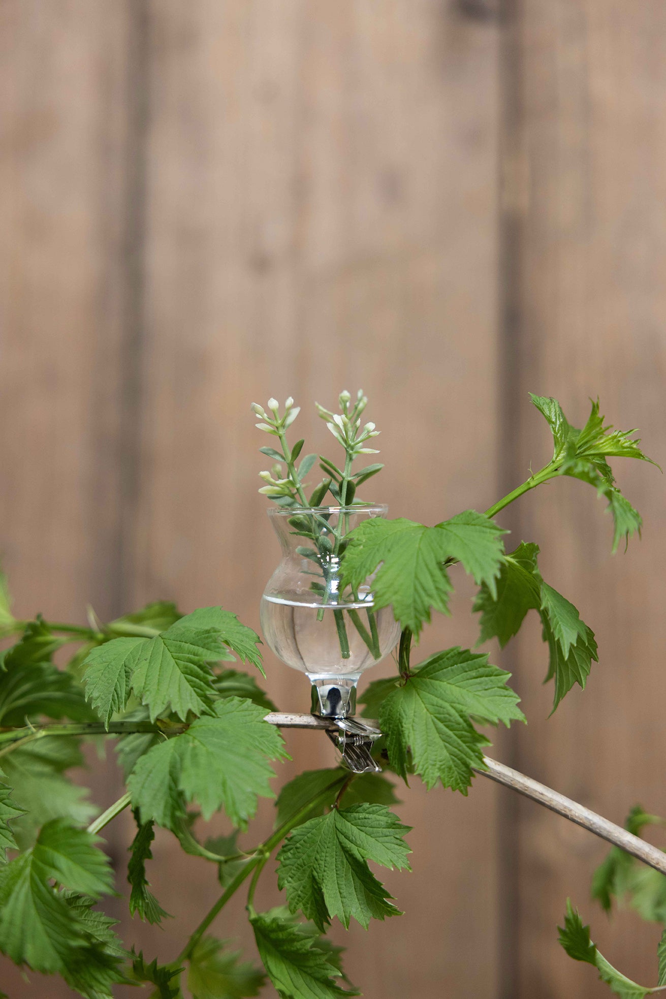 Clip-on Mini Bud Vases