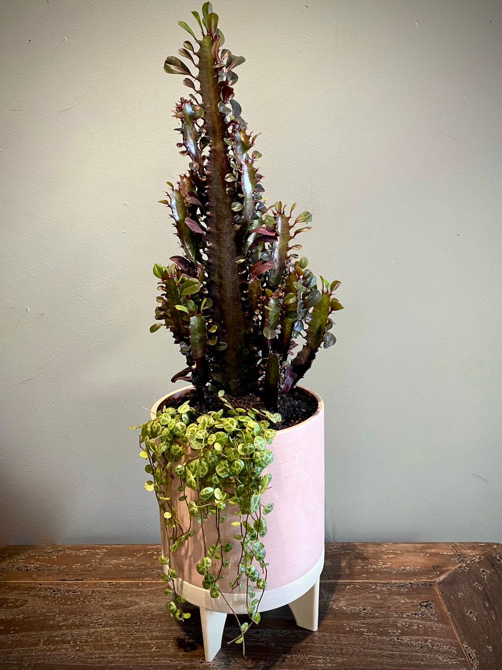 Still Life No. 2