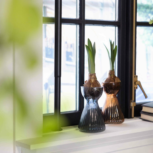 Hyacinth Bulb Vase