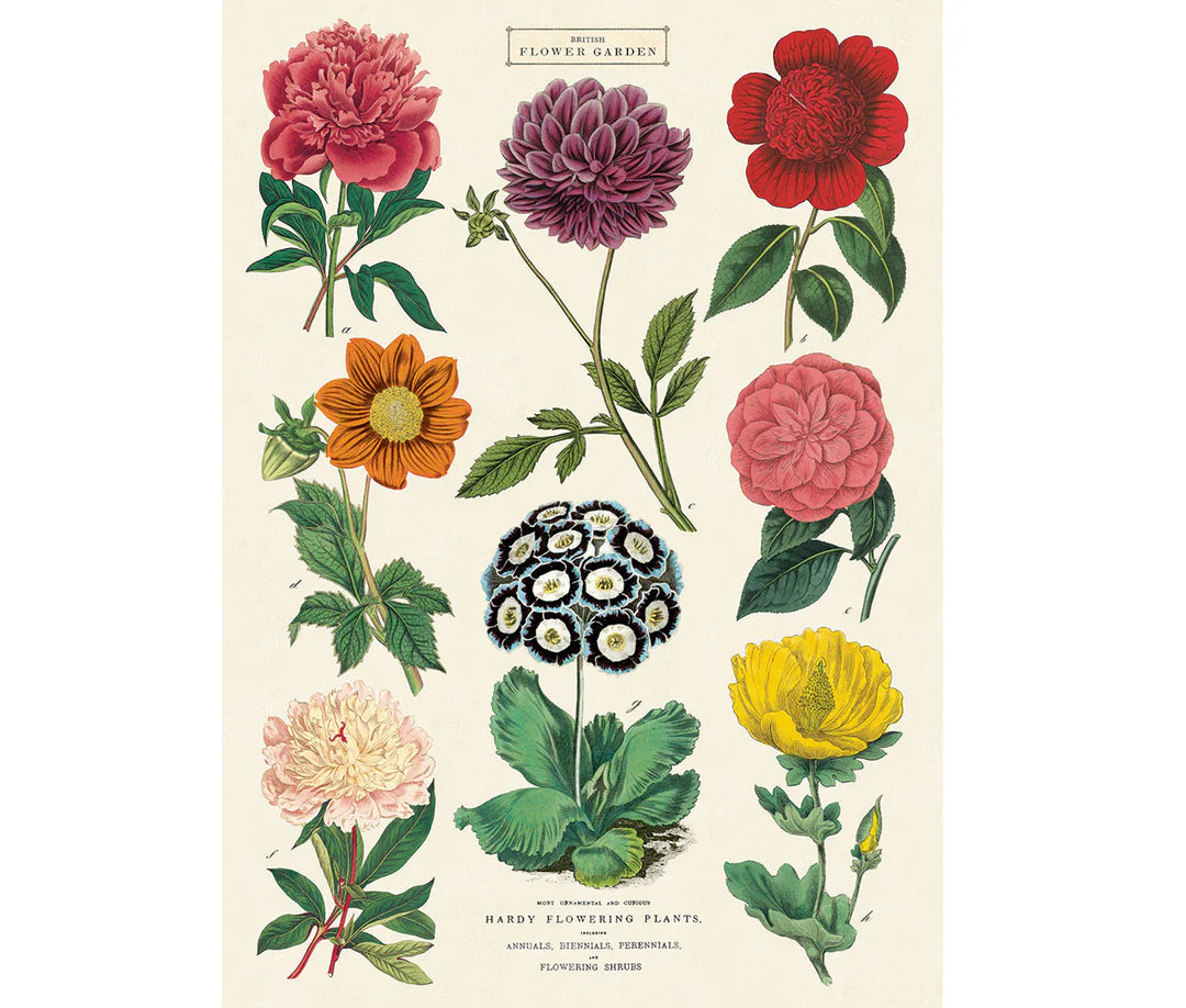 Cavallini Vintage Posters