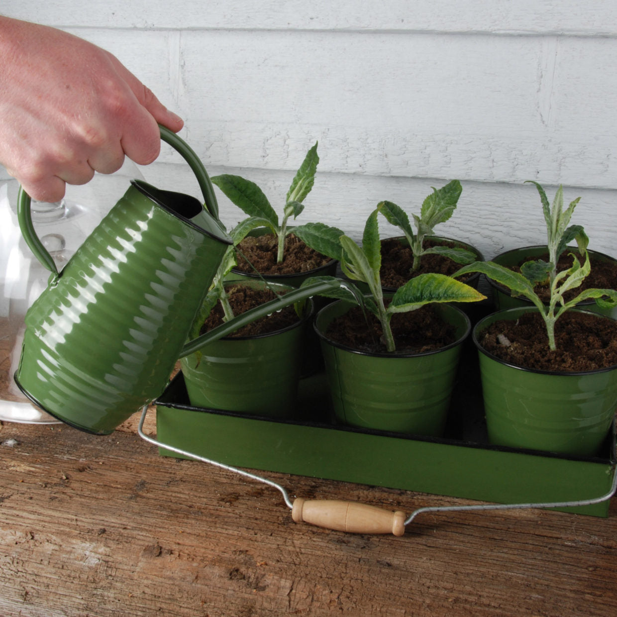 Retro Watering Can