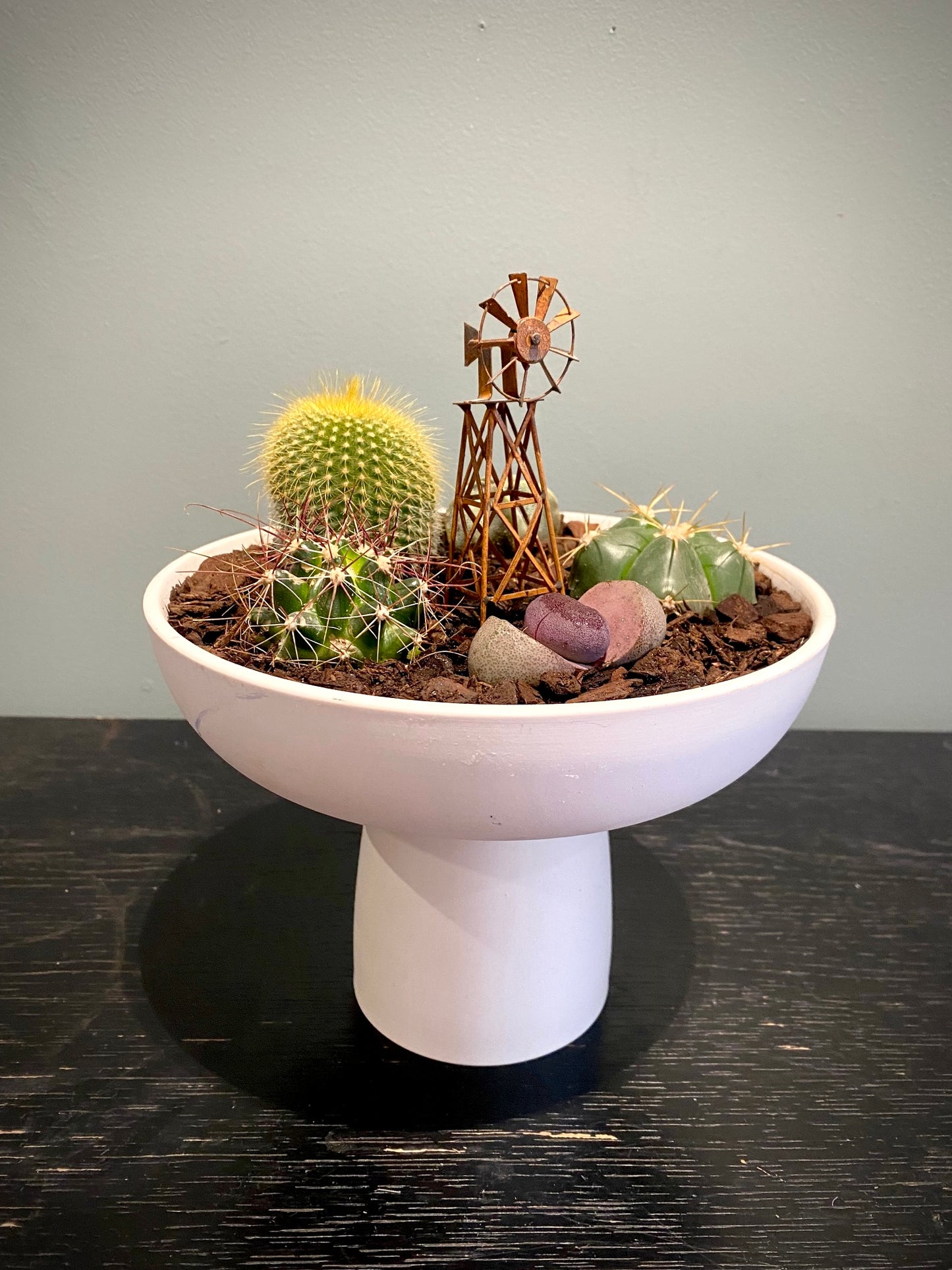Cactus Pedestal