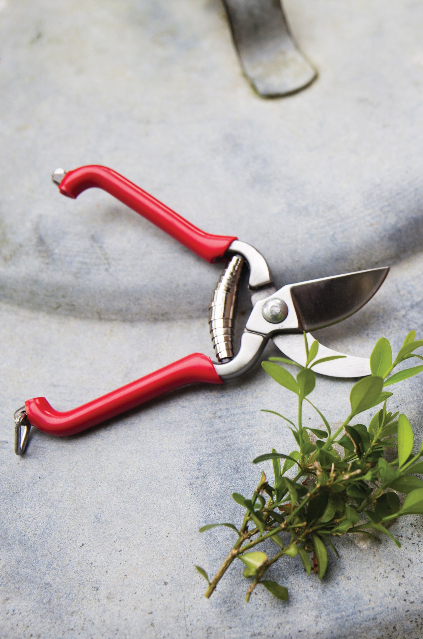 Pruning Shears (Small)