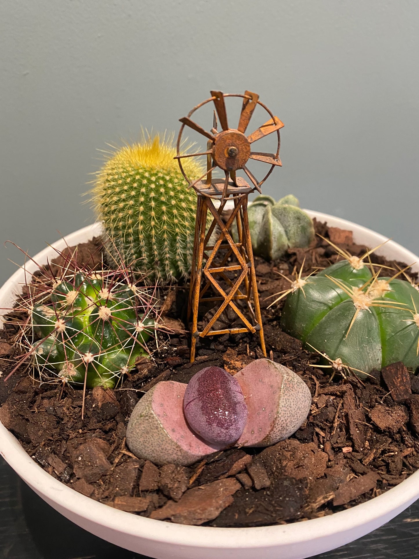 Cactus Pedestal
