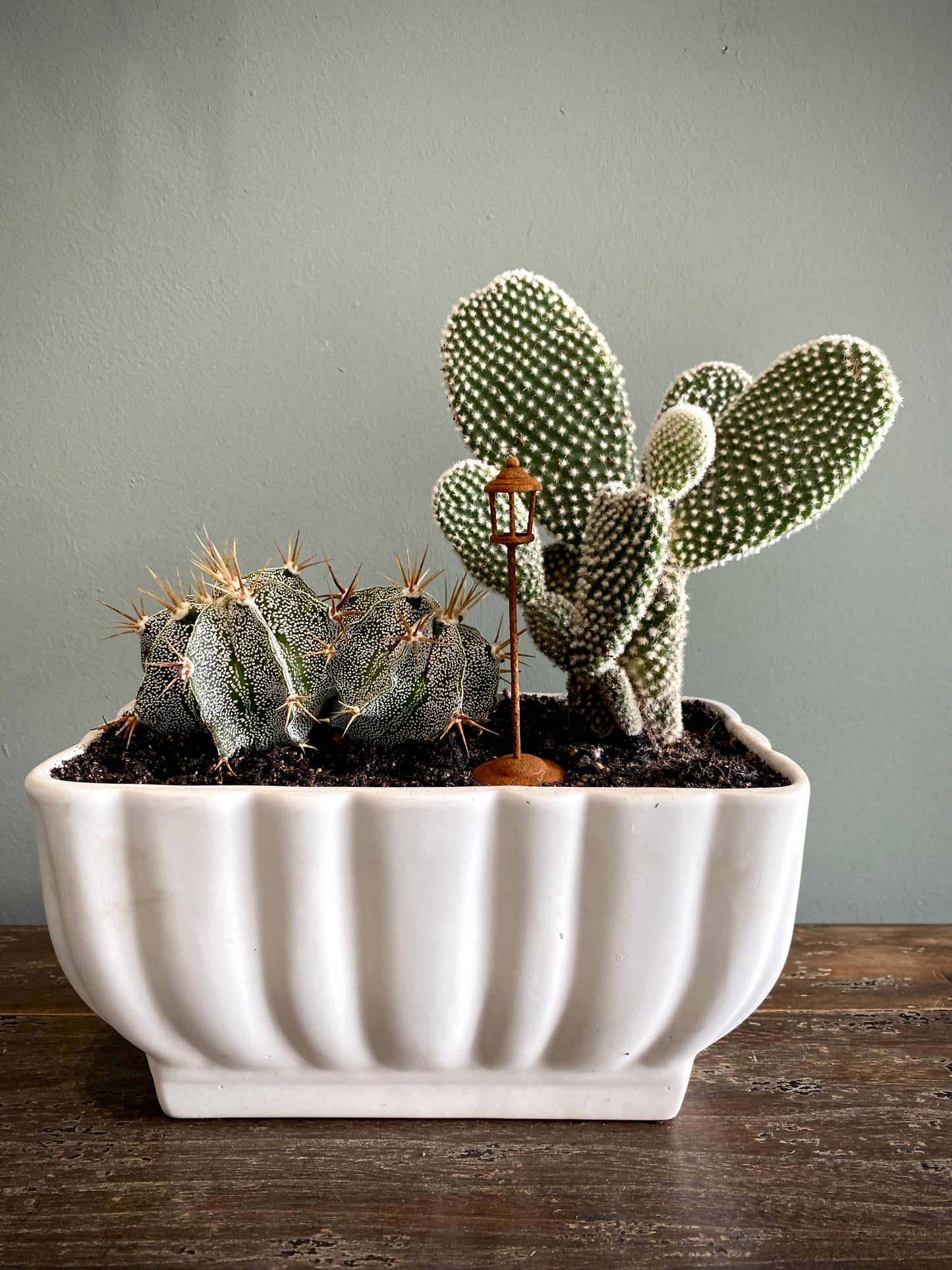 Cactus Set w/ Street Lamp