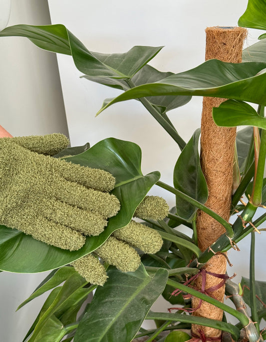 Plant Dust Gloves