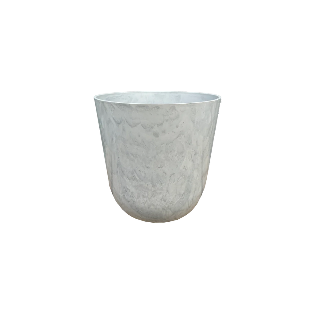 Bird of Paradise Set (Small)