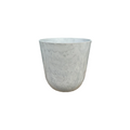 Bird of Paradise Set (Small)