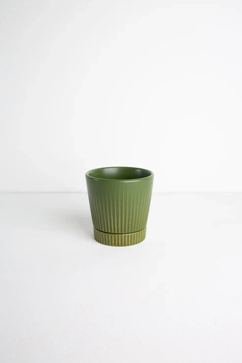 Silver Vine Set
