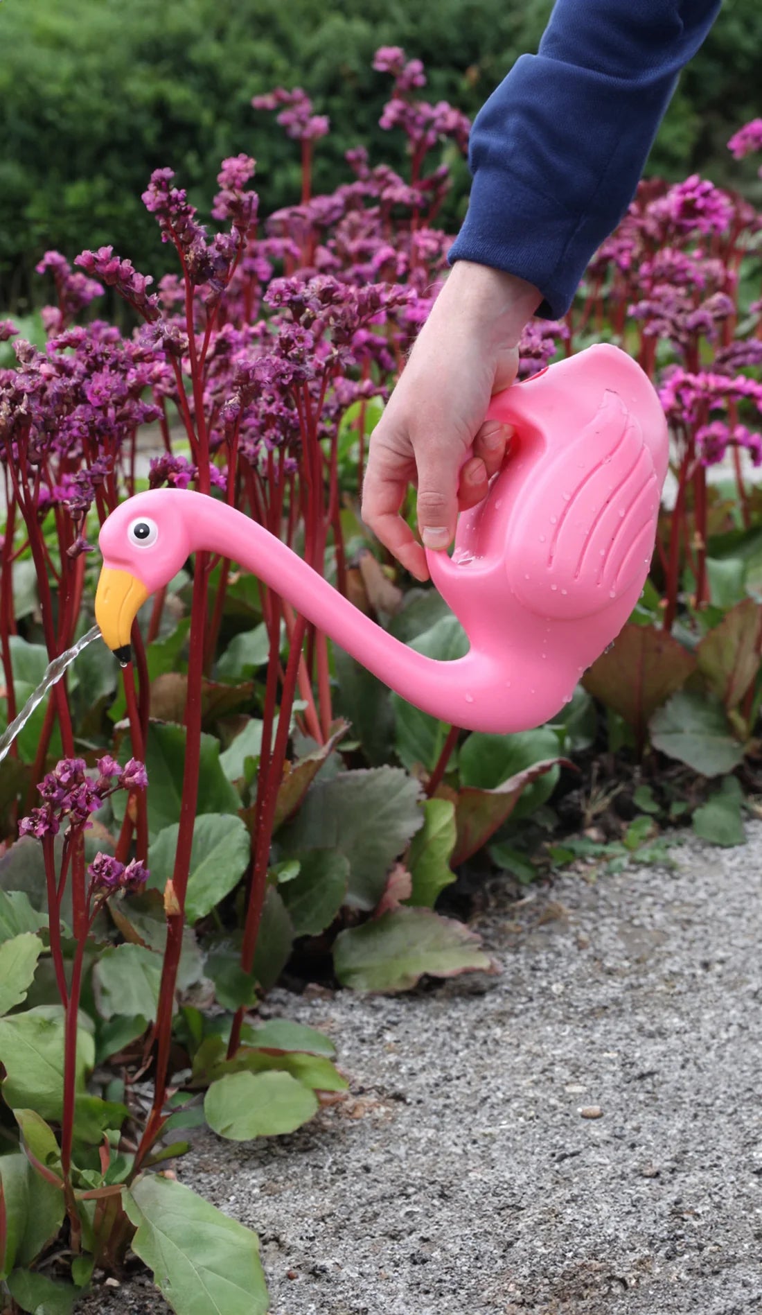 Watering Can Pink Flamingo