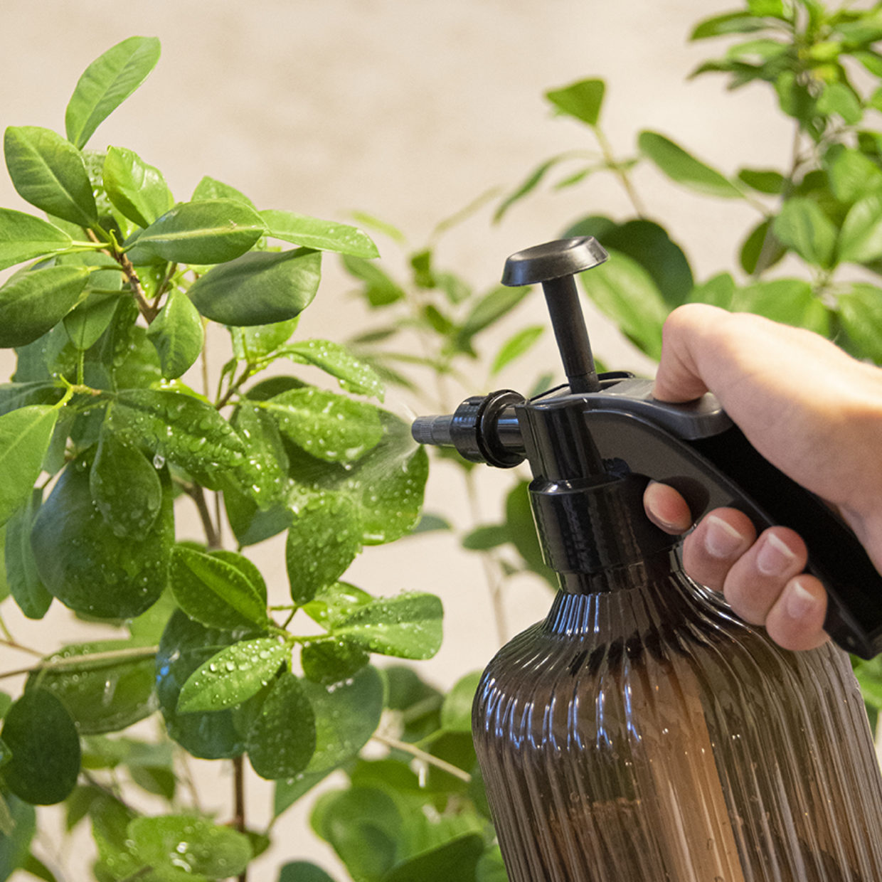 Plant Mister XXL