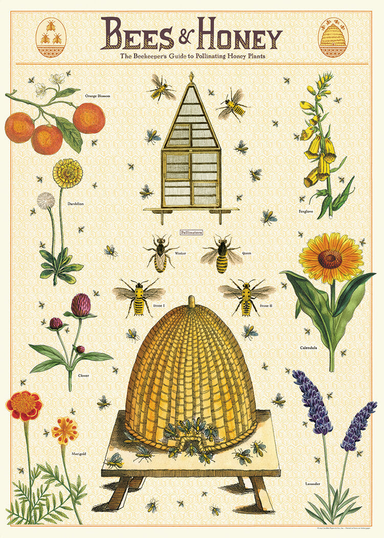 Cavallini Bees & Honey Poster Wrap