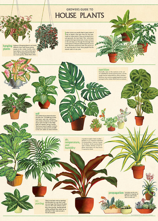 Cavallini House Plants Poster Wrap