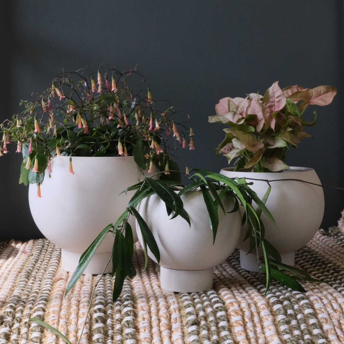 Orbit Planter