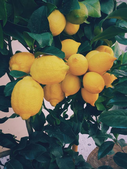 Lemon