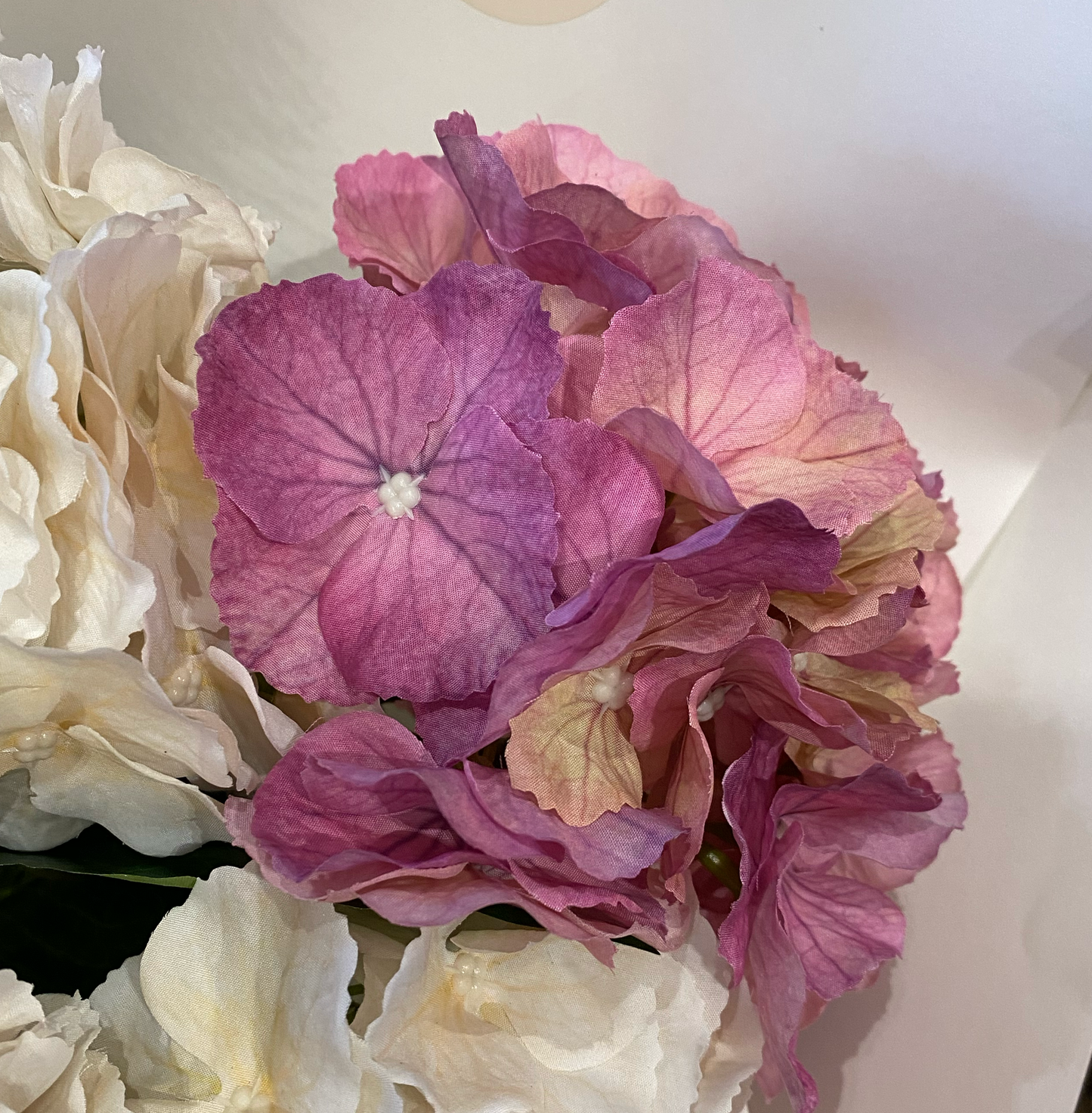 Hydrangea En Masse