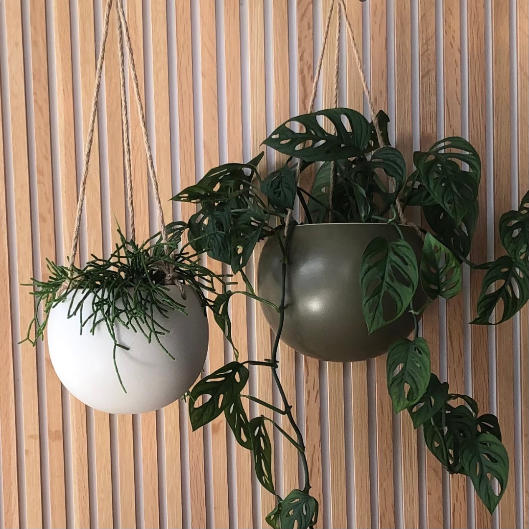 Orbit Hanging Planter