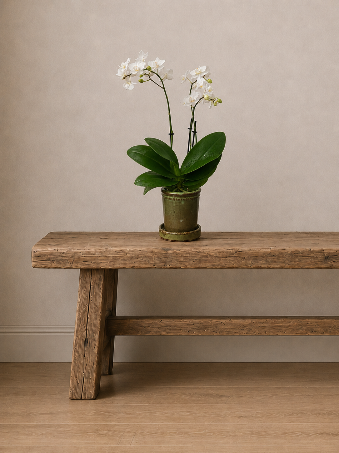 The Cottage Orchid