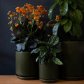 Oslo Cover Pot 14.5 CM