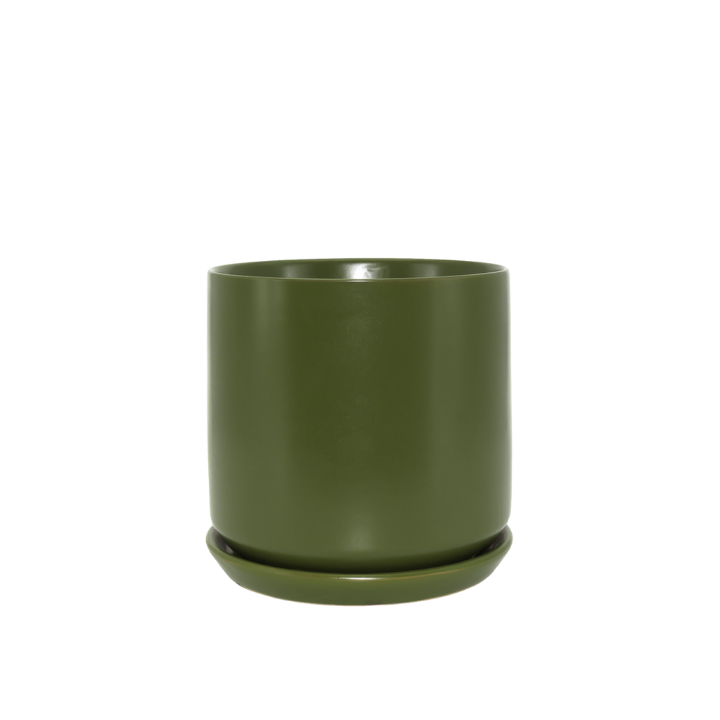 Coin Plant Oslo Set