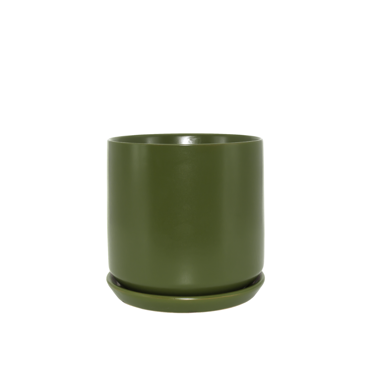 Coin Plant Oslo Set