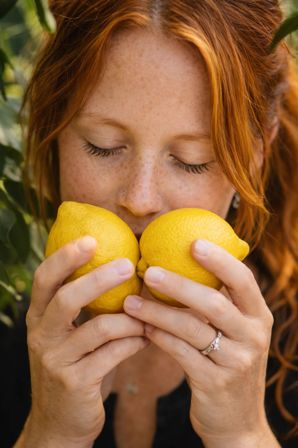 Lemon Tree — Mediterranean Citrus