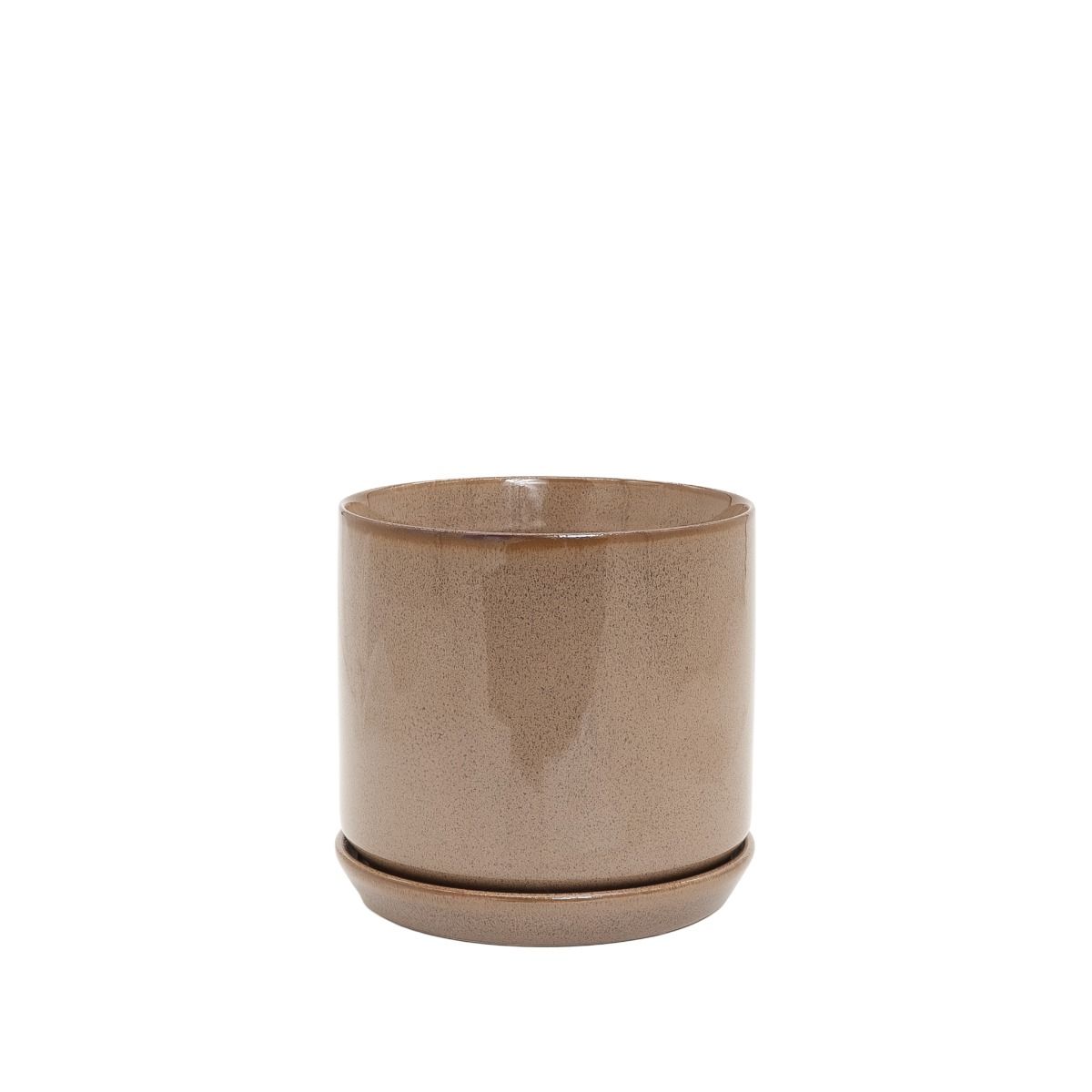 Coin Plant Oslo Set