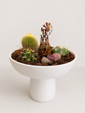 A small cactus and succulent arrangement in a white pedestal bowl planter, featuring a miniature metal windmill decoration, set against a plain light gray background.